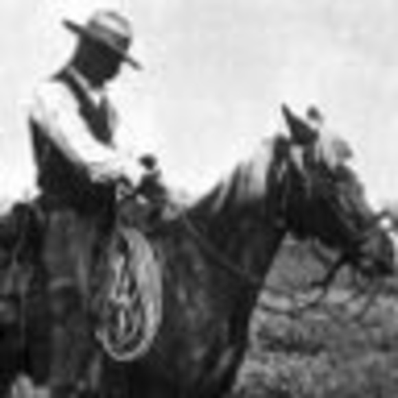 Meet your Posher, Karen - Picture 1 of 1